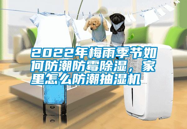 2022年梅雨季節(jié)如何防潮防霉除濕,家里怎么防潮抽濕機