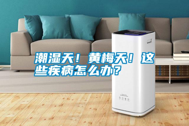 潮濕天!黃梅天!這些疾病怎么辦?