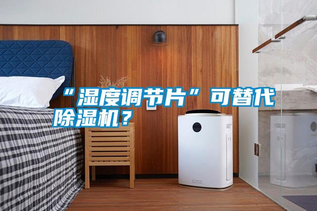“濕度調節片”可替代除濕機?