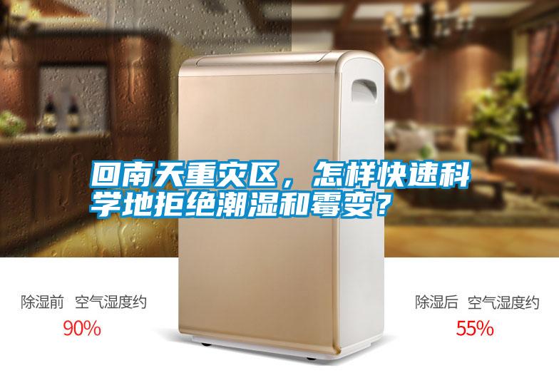 回南天重災區，怎樣快速科學地拒絕潮濕和霉變？