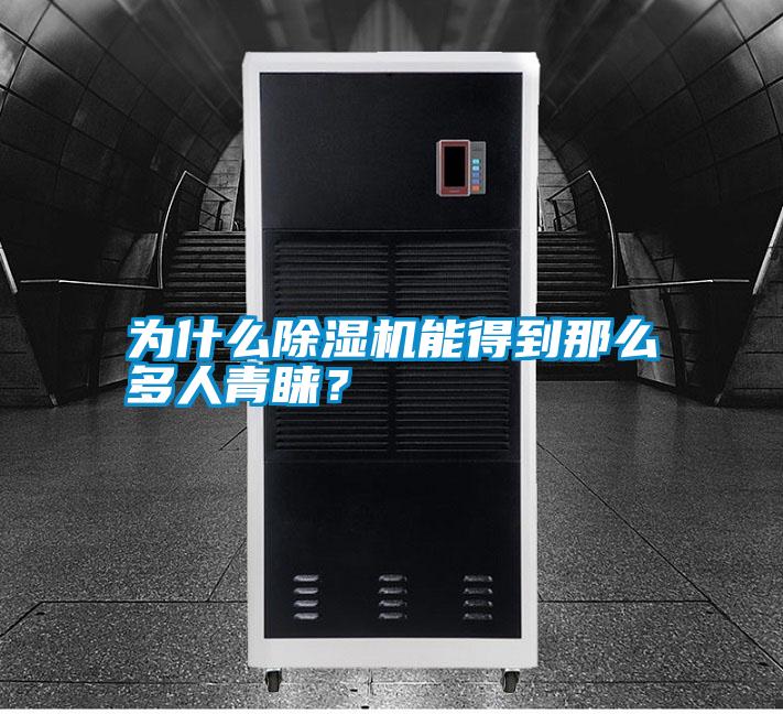 為什么除濕機能得到那么多人青睞?