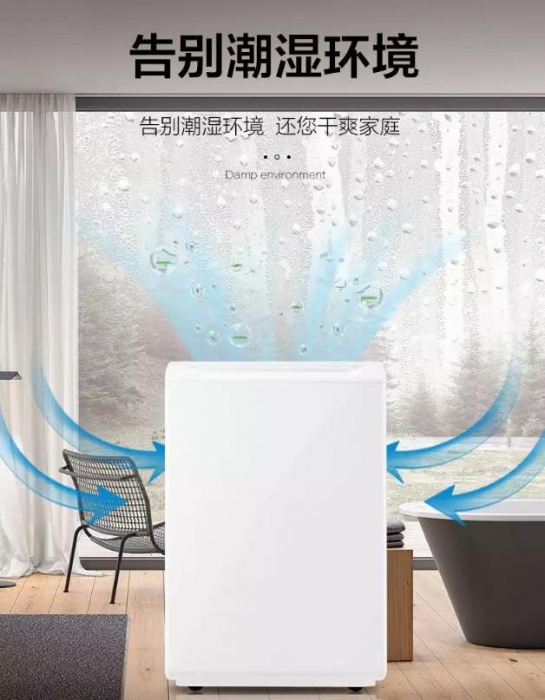 南方進(jìn)入回南天，多肉植物這樣養(yǎng)才不會(huì)有事！