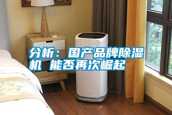 分析:國產品牌除濕機 能否再次崛起