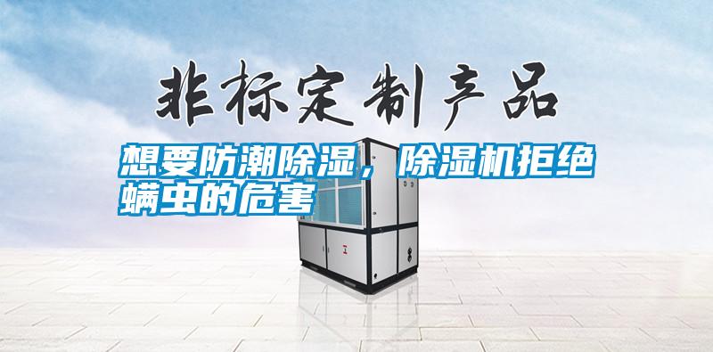 想要防潮除濕,除濕機拒絕螨蟲的危害