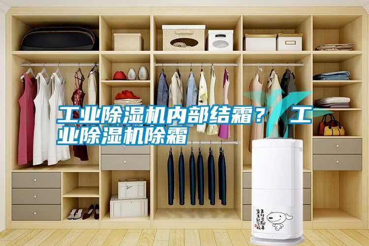 工業除濕機內部結霜? 工業除濕機除霜