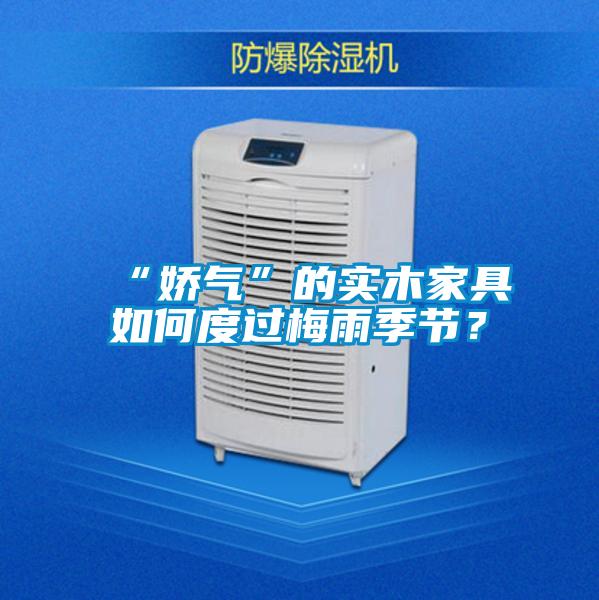 “嬌氣”的實木家具如何度過梅雨季節(jié)？