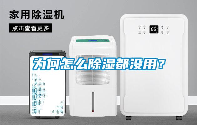為何怎么除濕都沒用?
