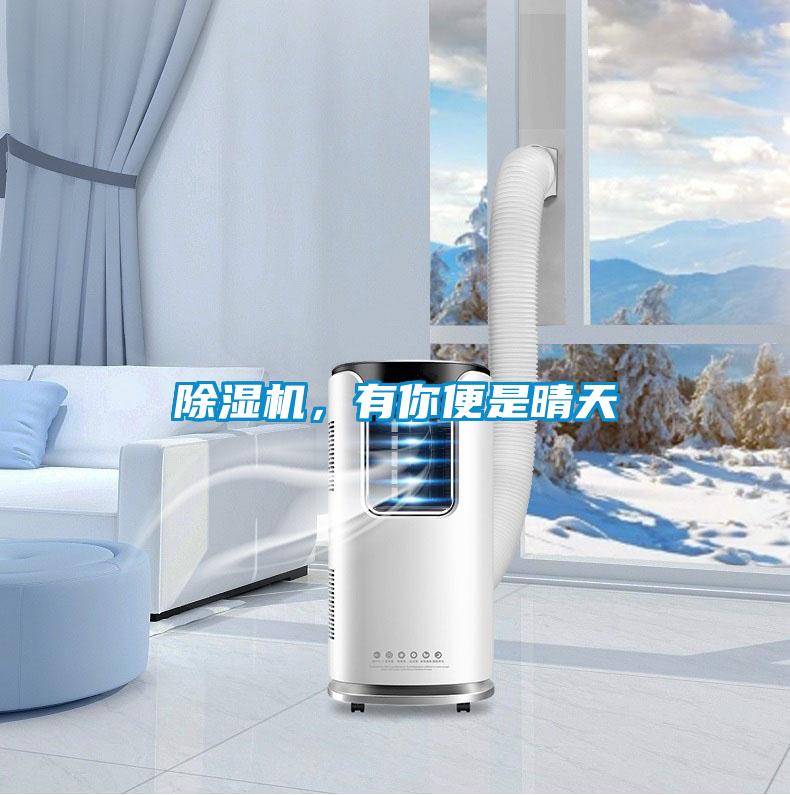 除濕機(jī),有你便是晴天