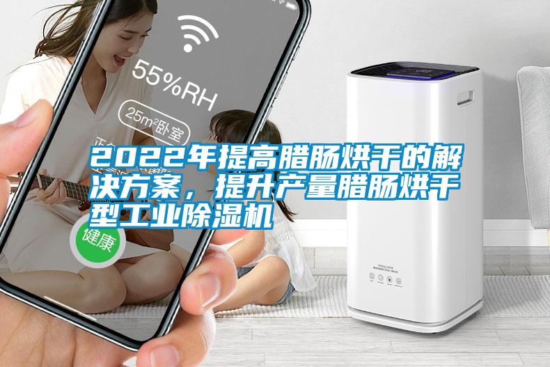 2022年提高臘腸烘干的解決方案，提升產量臘腸烘干型工業除濕機