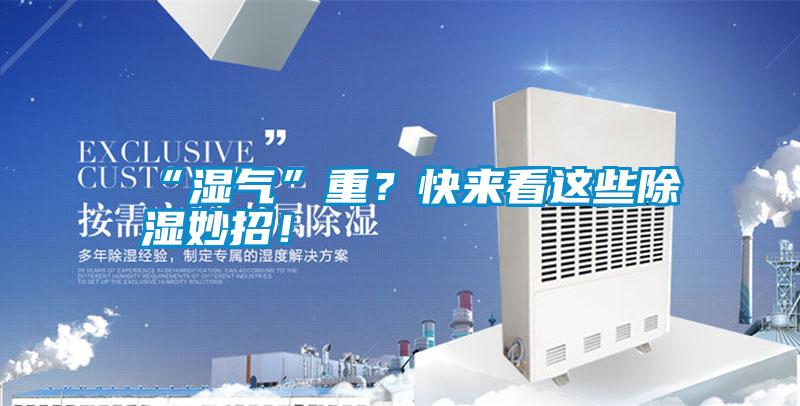 “濕氣”重？快來看這些除濕妙招！