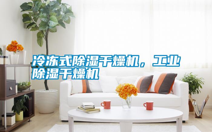 冷凍式除濕干燥機，工業除濕干燥機