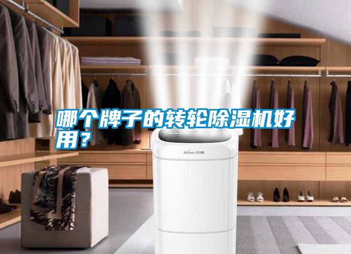 哪個牌子的轉輪除濕機好用?