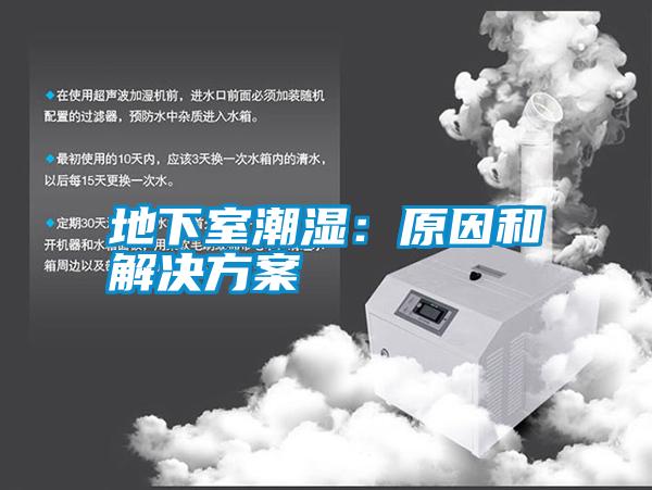 地下室潮濕:原因和解決方案