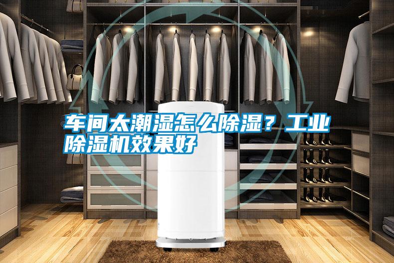 車間太潮濕怎么除濕?工業除濕機效果好