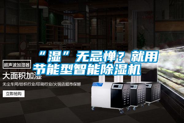 “濕”無忌憚？就用節(jié)能型智能除濕機
