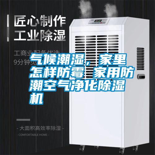 氣候潮濕,家里怎樣防霉 家用防潮空氣凈化除濕機