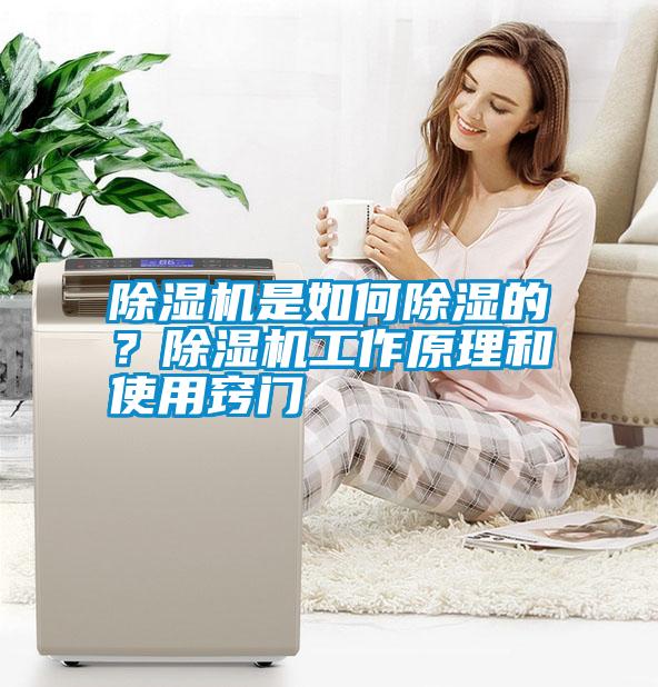 除濕機是如何除濕的?除濕機工作原理和使用竅門