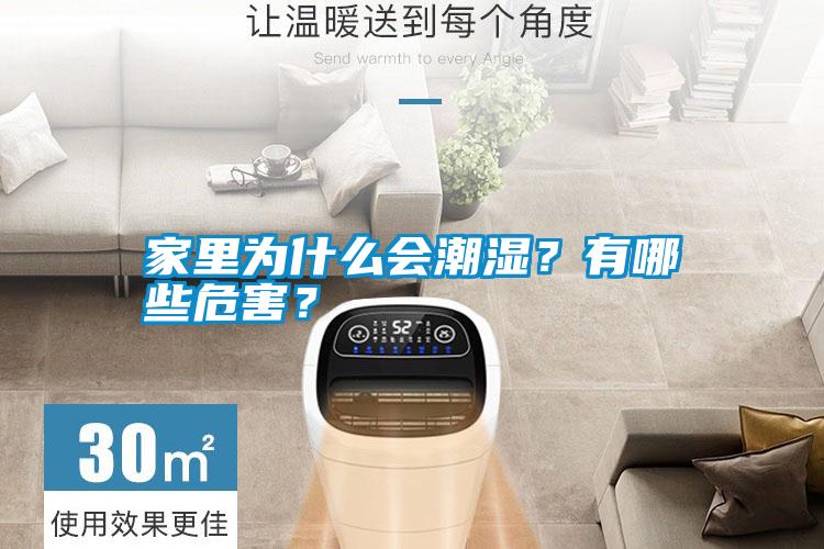 家里為什么會潮濕？有哪些危害？