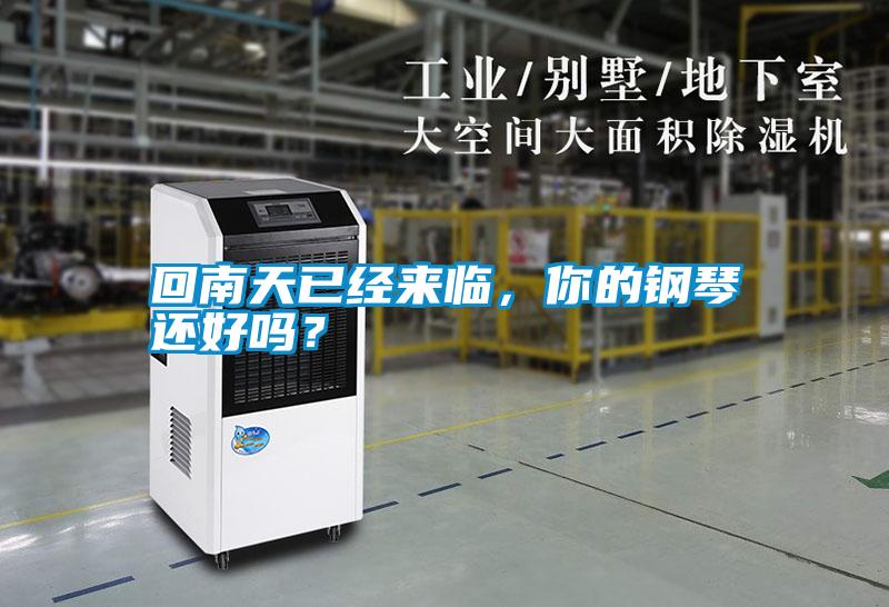 回南天已經來臨,你的鋼琴還好嗎?