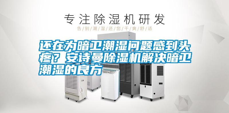 還在為暗衛潮濕問題感到頭疼？安詩曼除濕機解決暗衛潮濕的良方