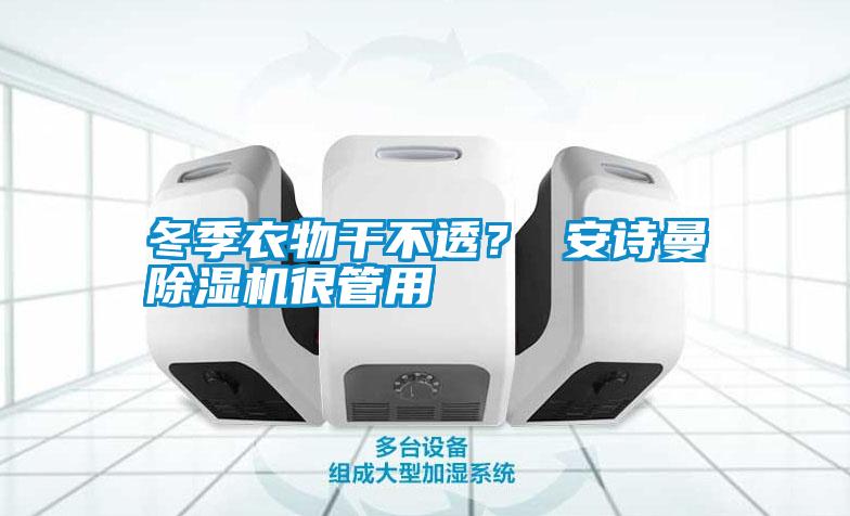 冬季衣物干不透？ 安詩曼除濕機很管用