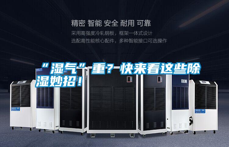 “濕氣”重？快來看這些除濕妙招！