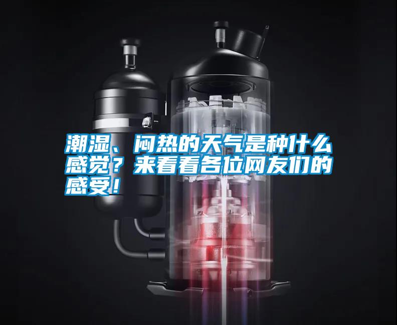 潮濕、悶熱的天氣是種什么感覺?來(lái)看看各位網(wǎng)友們的感受!