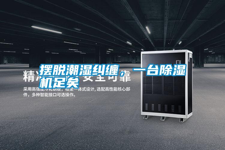 擺脫潮濕糾纏，一臺除濕機足矣