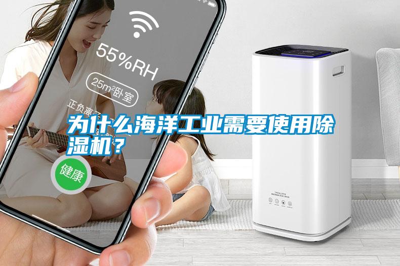 為什么海洋工業需要使用除濕機？