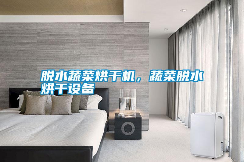 脫水蔬菜烘干機，蔬菜脫水烘干設備