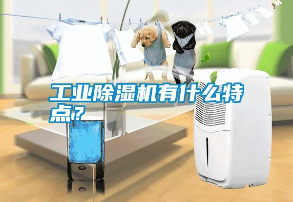 工業(yè)除濕機有什么特點?