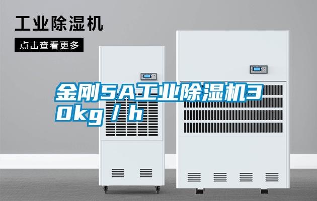 金剛5A工業除濕機30kg/h