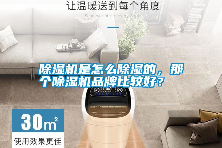 除濕機是怎么除濕的,那個除濕機品牌比較好?