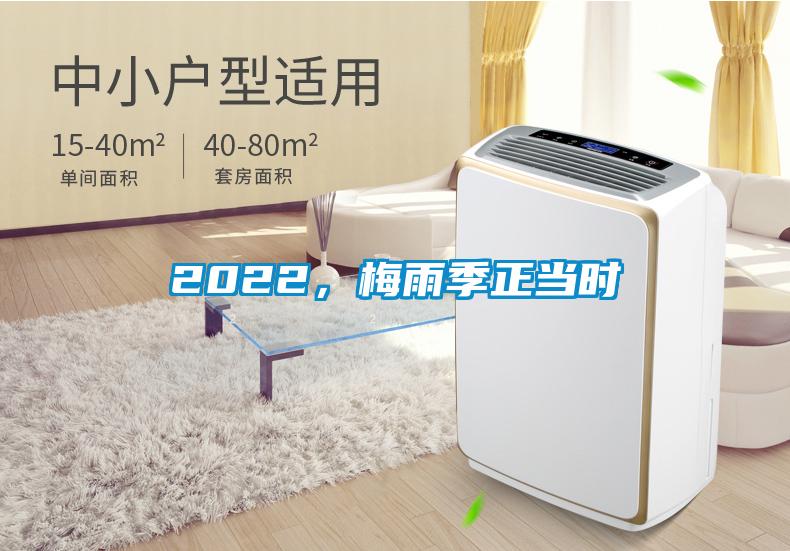 2022，梅雨季正當時