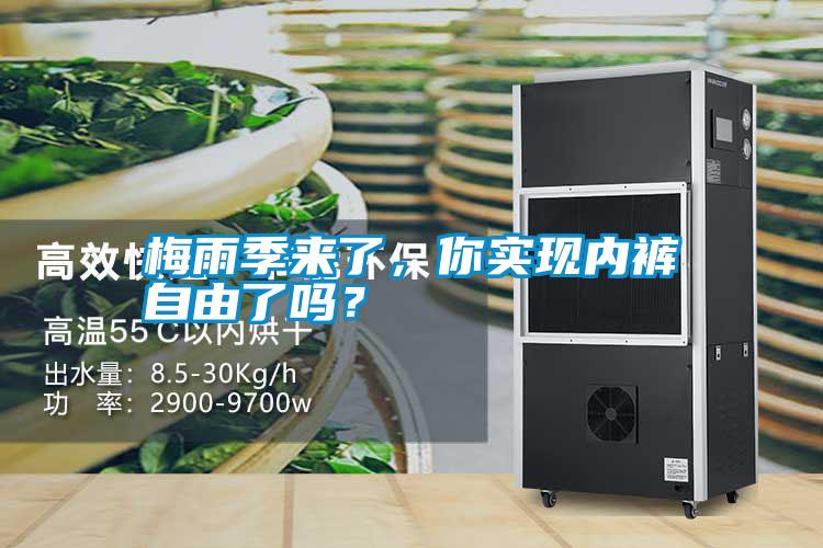 梅雨季來了,你實現內褲自由了嗎?