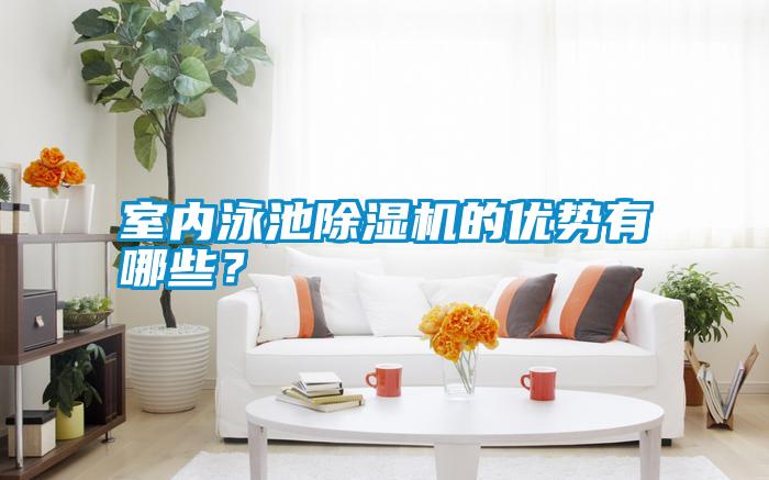 室內泳池除濕機的優勢有哪些？