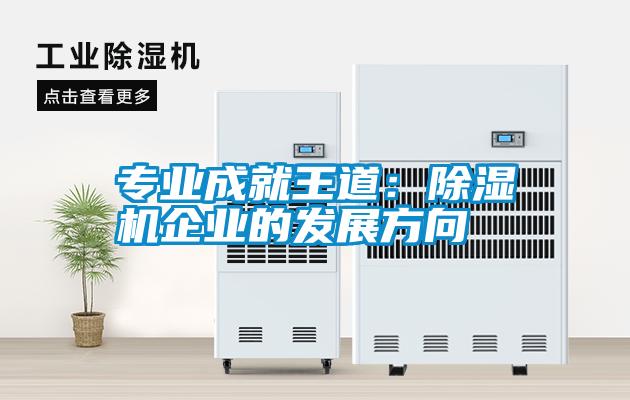 專業(yè)成就王道:除濕機企業(yè)的發(fā)展方向