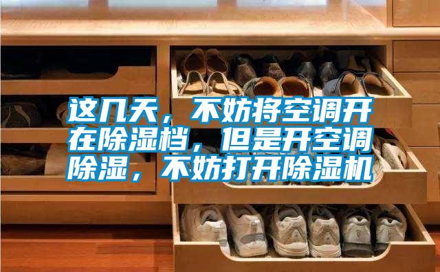 這幾天，不妨將空調開在除濕檔，但是開空調除濕，不妨打開除濕機