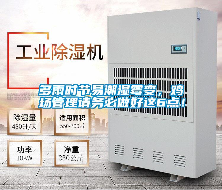 多雨時節易潮濕霉變,雞場管理請務必做好這6點!