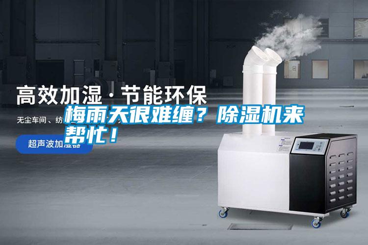 梅雨天很難纏？除濕機(jī)來幫忙！