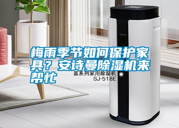 梅雨季節(jié)如何保護(hù)家具?安詩(shī)曼除濕機(jī)來(lái)幫忙