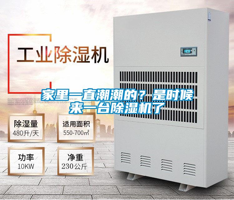家里一直潮潮的?是時(shí)候來(lái)一臺(tái)除濕機(jī)了