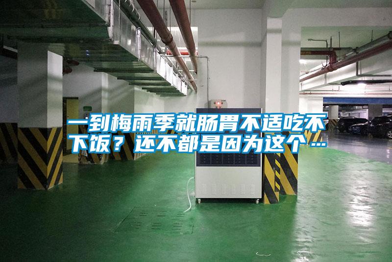 一到梅雨季就腸胃不適吃不下飯?還不都是因?yàn)檫@個…