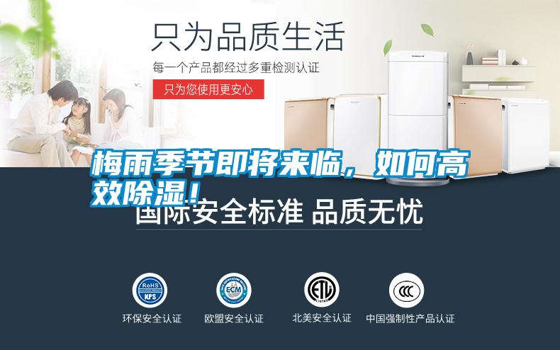 梅雨季節即將來臨，如何高效除濕！