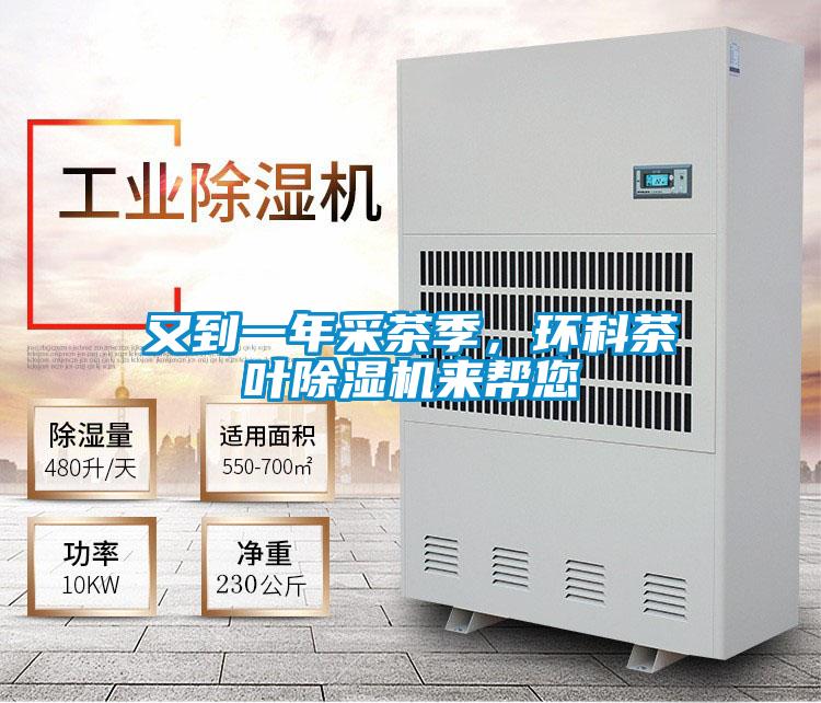 又到一年采茶季,環科茶葉除濕機來幫您