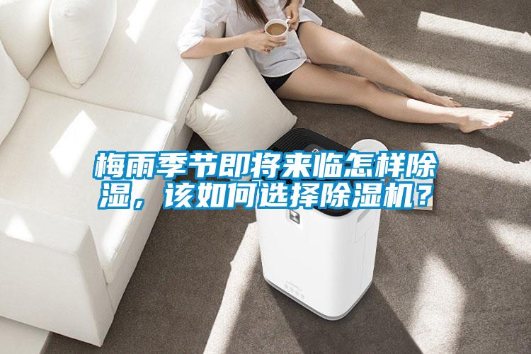 梅雨季節即將來臨怎樣除濕，該如何選擇除濕機？