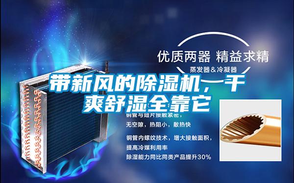 帶新風的除濕機,干爽舒濕全靠它