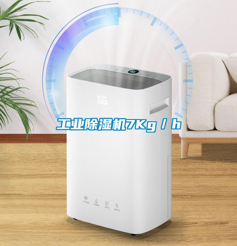 工業除濕機7Kg/h