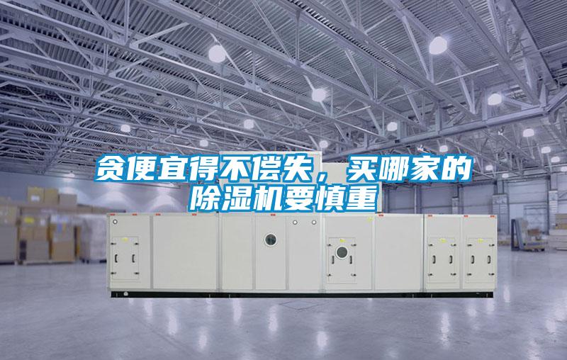 貪便宜得不償失，買哪家的除濕機要慎重