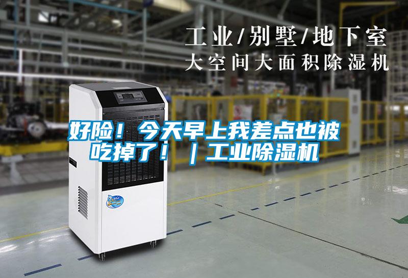 好險！今天早上我差點也被吃掉了?。I除濕機